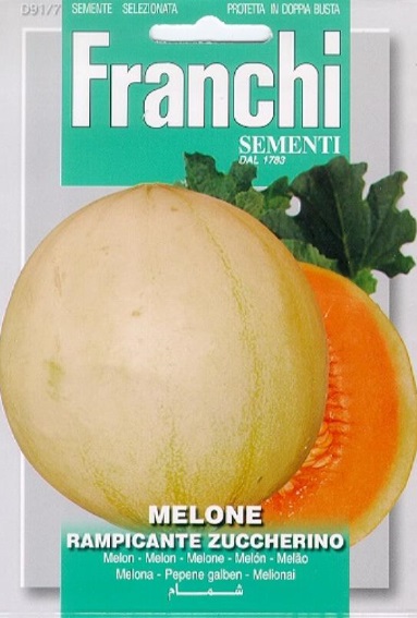 Melone Rampicante Zuccherino (Cucumis melo) 140 Samen